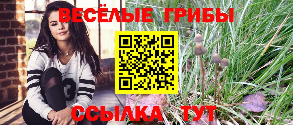 Советская Гавань  Галлюциногенные грибы мицелий  Галлюциногенные грибы мухоморы  Вход с VPN 