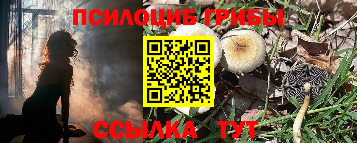 Галлюциногенные грибы Magic Shrooms Советская Гавань